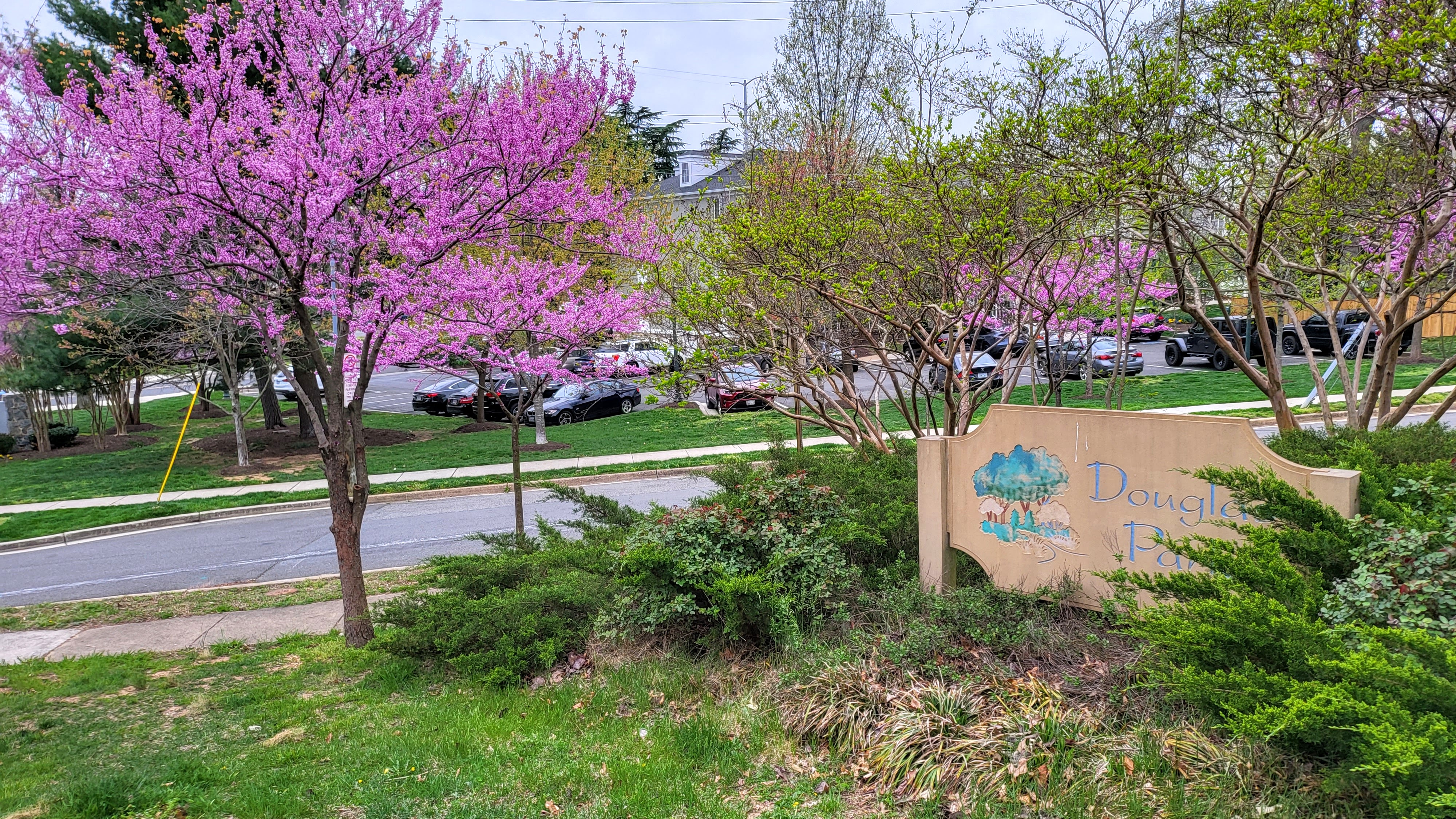 The Douglas Park neighborhood sign at Walter Reed Dr and S Randolph St.